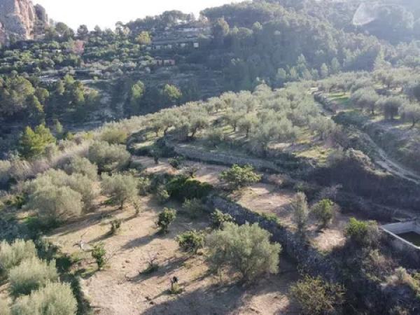 Terreno en Benimantell