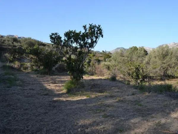 Terreno en Benimantell