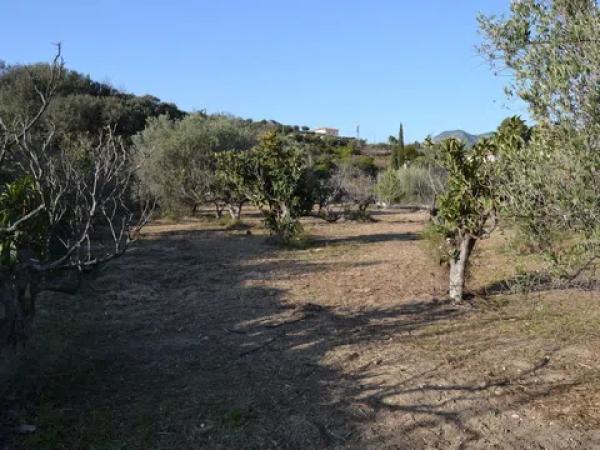 Terreno en Benimantell