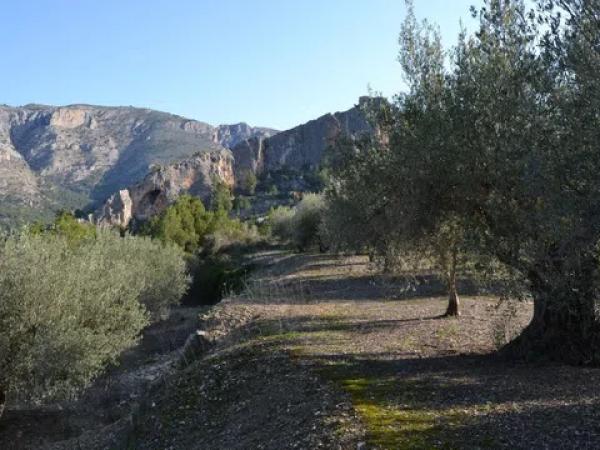 Terreno en Benimantell