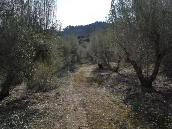 Terreno en Benimantell