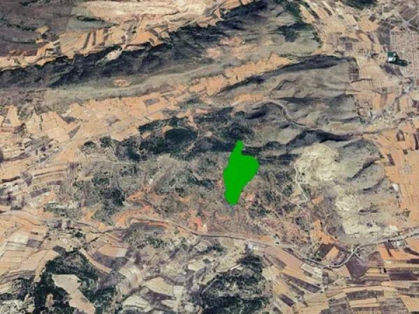 Terreno en Partida de Umbria Baja