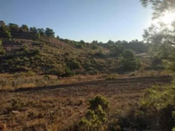 Terreno en Partida de Umbria Baja