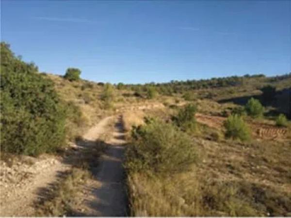 Terreno en Partida de Umbria Baja