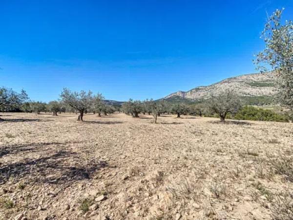 Terreno en calle Empedrada