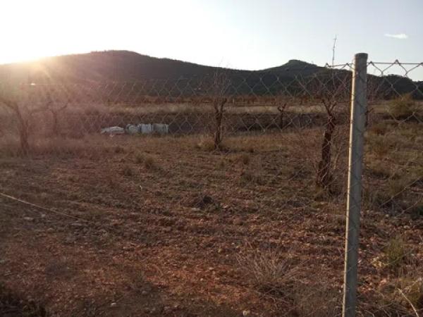 Terreno en Hondón de las Nieves