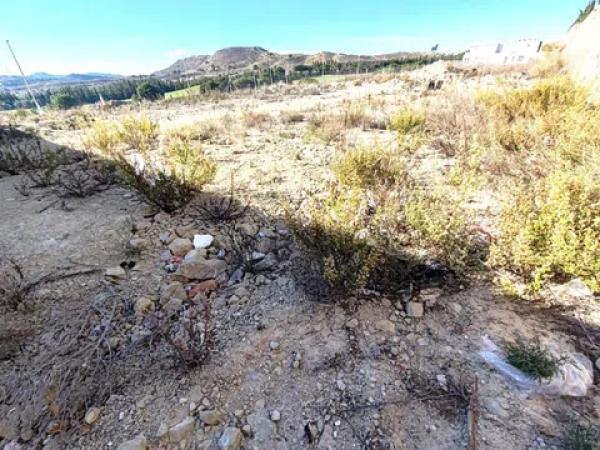 Terreno en Monforte del Cid