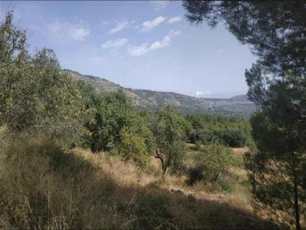 Terreno en camino Quebrantada