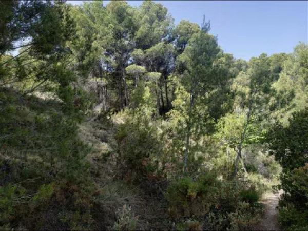 Terreno en camino Quebrantada