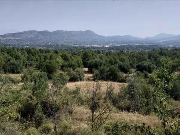 Terreno en camino Quebrantada