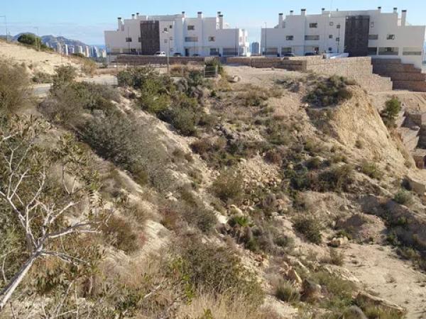 Terreno en calle de Colombia