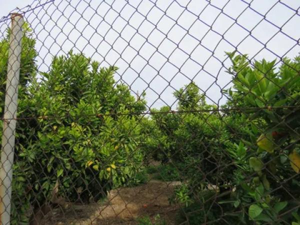 Terreno en Els Poblets