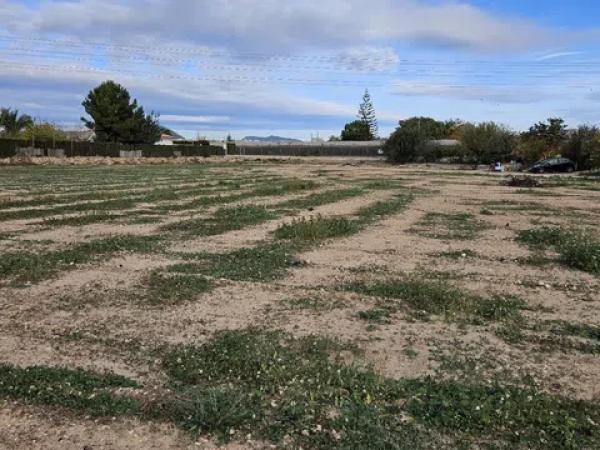 Terreno en calle Jaume Ii