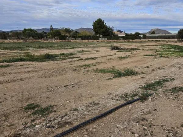 Terreno en calle Jaume Ii