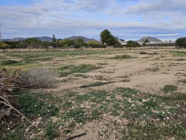 Terreno en calle Jaume Ii