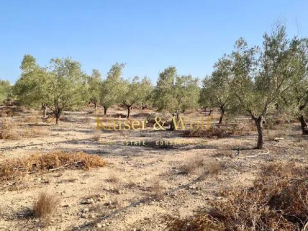 Terreno en Monforte del Cid