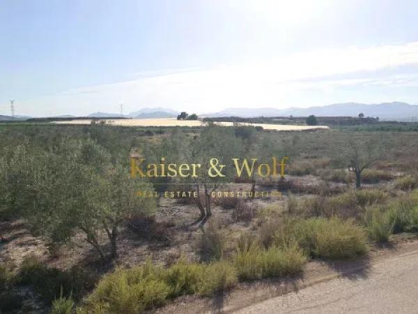 Terreno en Monforte del Cid