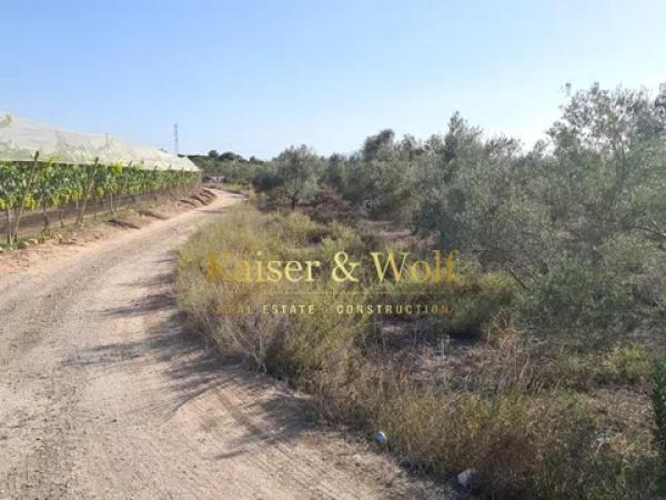 Terreno en Monforte del Cid