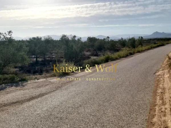 Terreno en Monforte del Cid