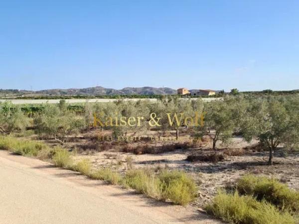 Terreno en Monforte del Cid