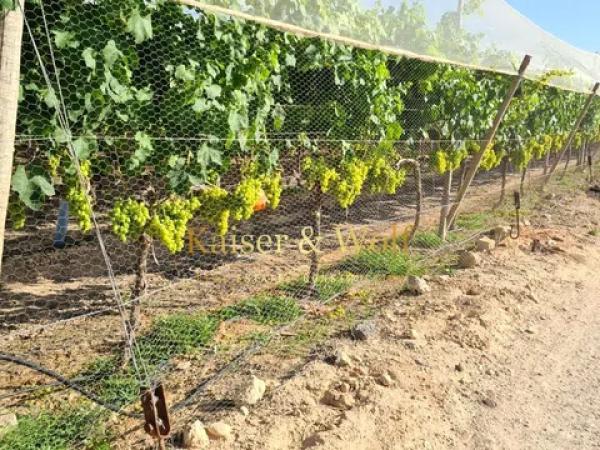 Terreno en Monforte del Cid