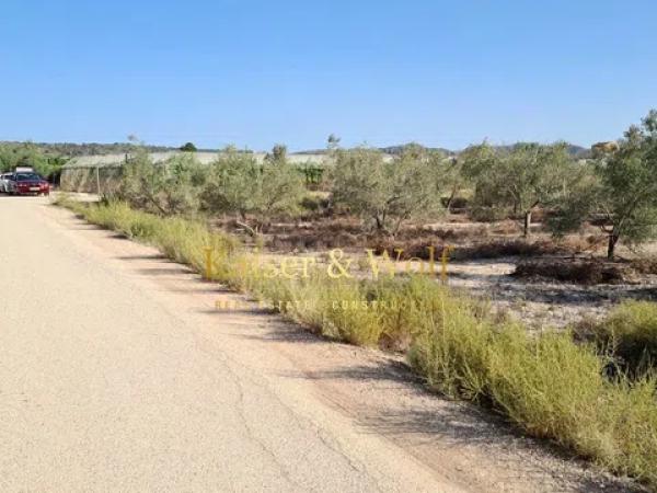 Terreno en Monforte del Cid