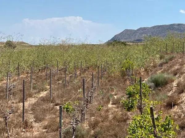 Terreno en Espejeras