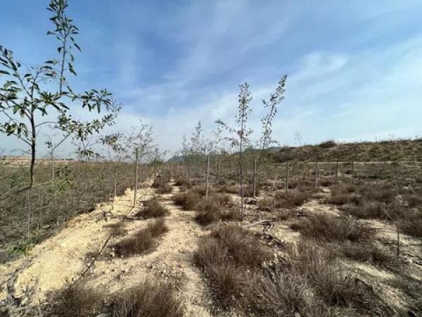 Terreno en Espejeras