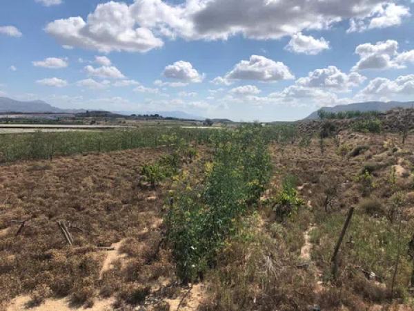 Terreno en Espejeras