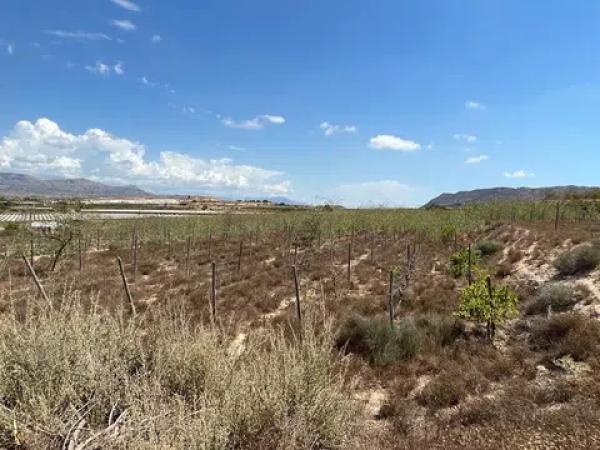 Terreno en Espejeras