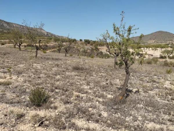 Terreno en cv-8400, 11