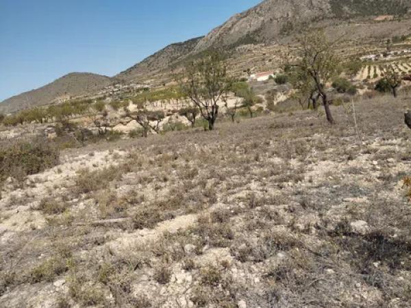 Terreno en cv-8400, 11