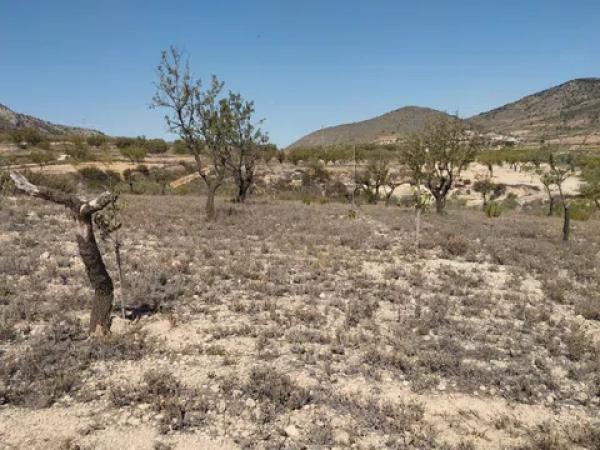 Terreno en cv-8400, 11