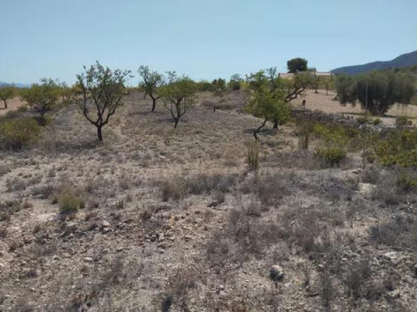 Terreno en cv-8400, 11