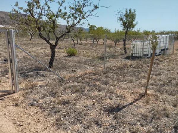 Terreno en cv-8400, 11