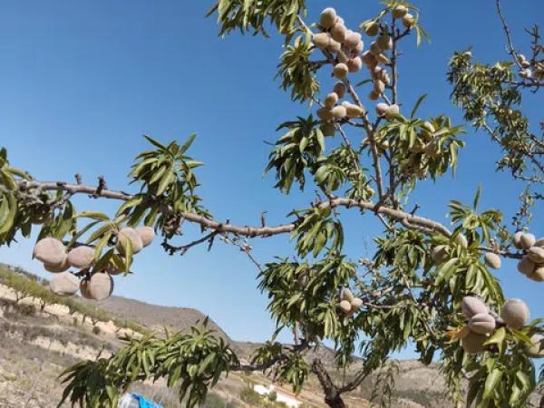 Terreno en cv-8400, 11