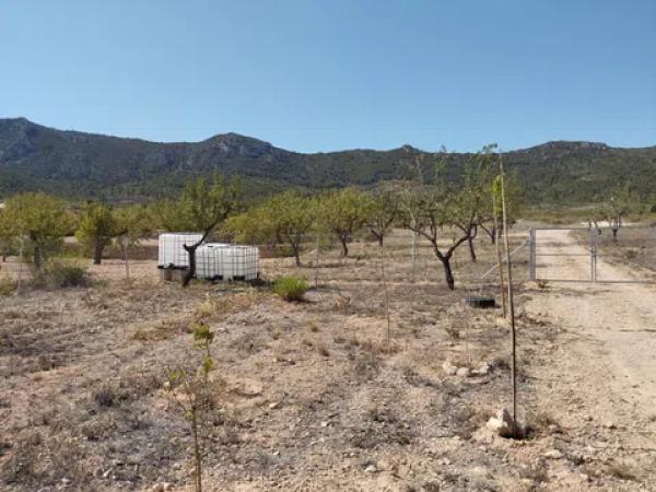 Terreno en cv-8400, 11