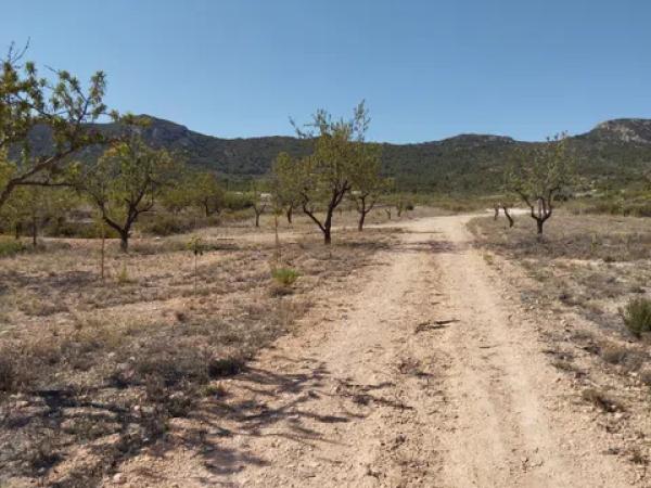 Terreno en cv-8400, 11