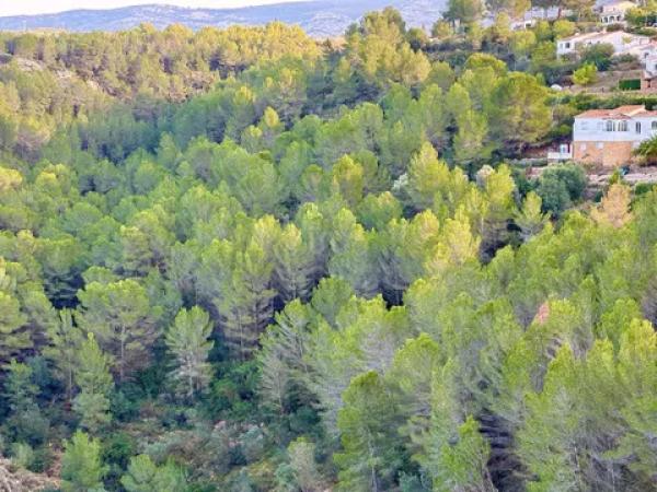 Terreno en Benidoleig