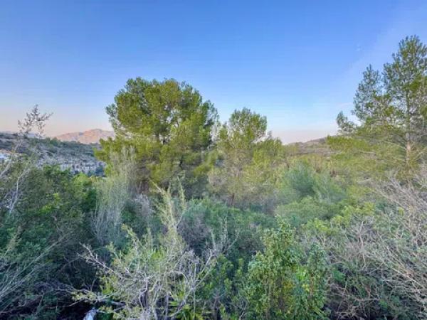 Terreno en Benidoleig