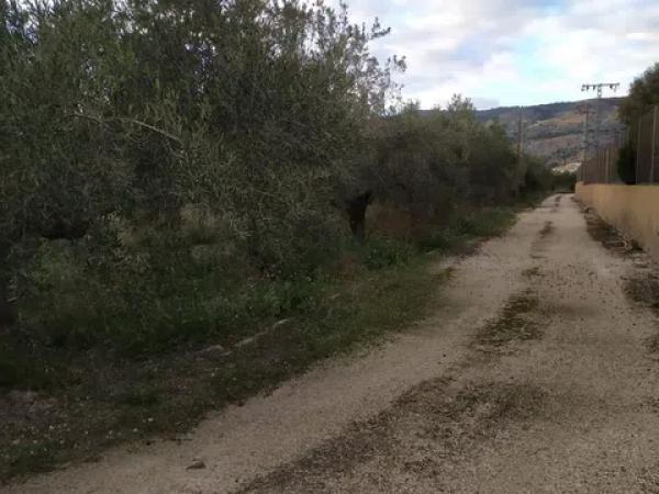Terreno en camino de Viñas