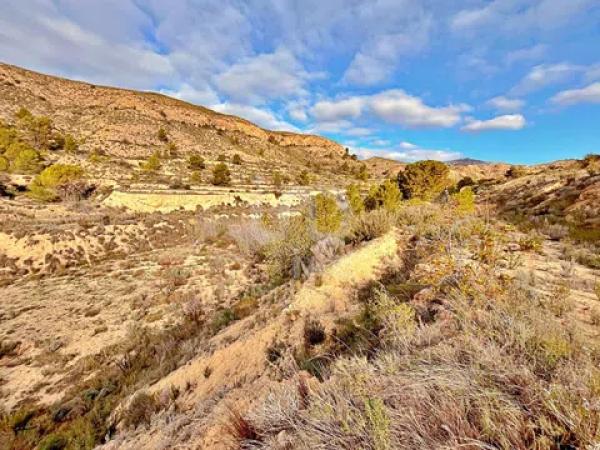 Terreno en avenida Verge de la Pau, 44 -60