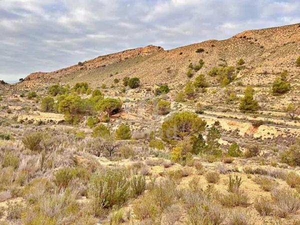 Terreno en avenida Verge de la Pau, 44 -60