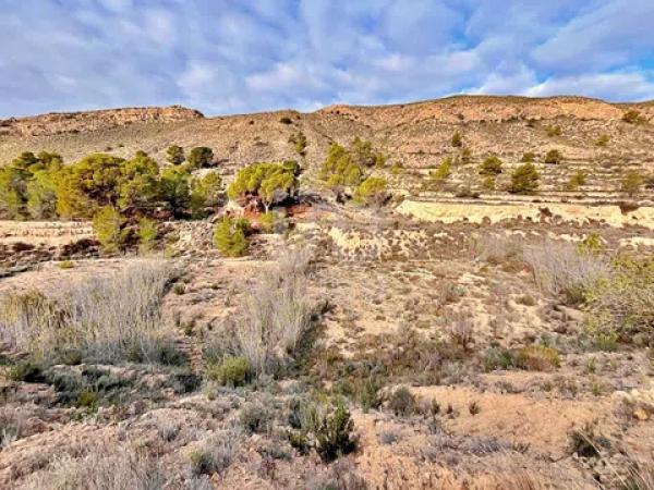 Terreno en avenida Verge de la Pau, 44 -60