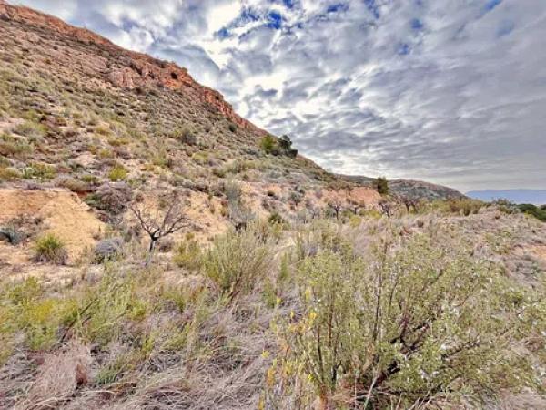 Terreno en avenida Verge de la Pau, 44 -60