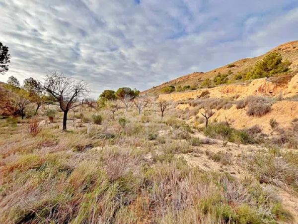 Terreno en avenida Verge de la Pau, 44 -60