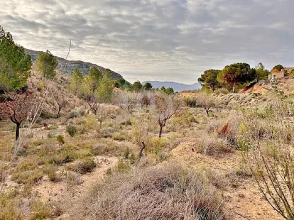 Terreno en avenida Verge de la Pau, 44 -60