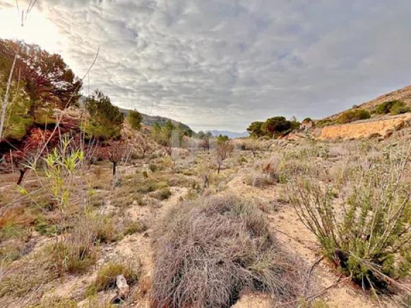 Terreno en avenida Verge de la Pau, 44 -60