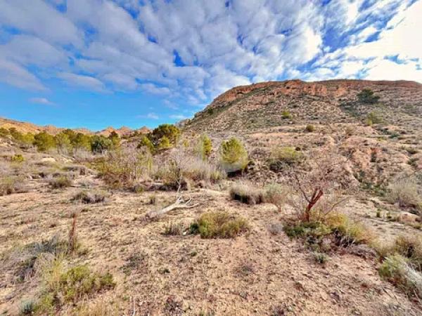 Terreno en avenida Verge de la Pau, 44 -60