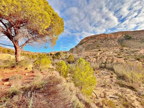 Terreno en avenida Verge de la Pau, 44 -60